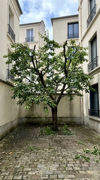 François L.